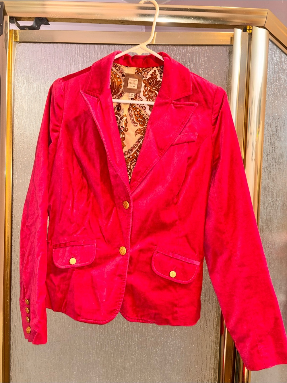 Old Navy Rapsberry Velvet Blazer - Classic Tailored Jacket Size S